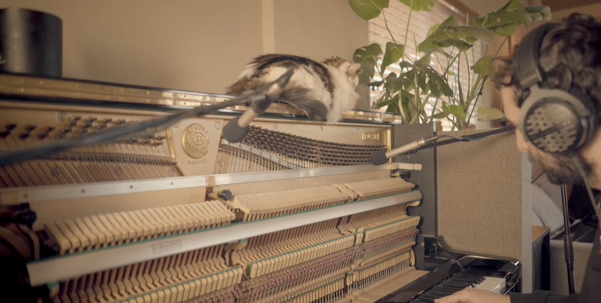 The Best Felt Piano Plugins for 2026