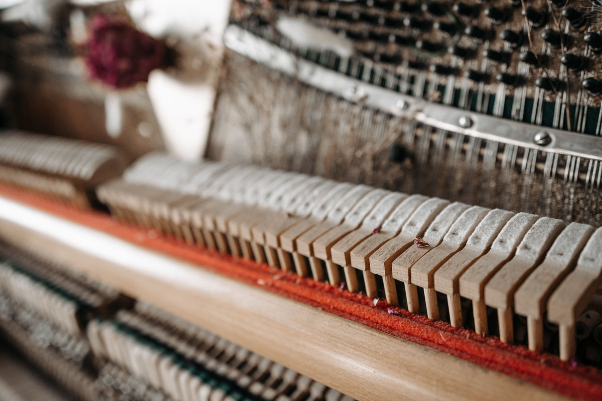 How to Choose the Best Piano VST for Lofi